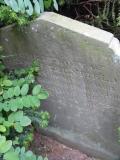 image of grave number 199686